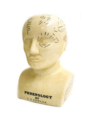Large Phrenology Head